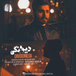 دانلود آهنگ جدید امیرحسین حیدریان به نام دیوونگی